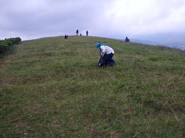 bukit paralayang kebun teh kemuning