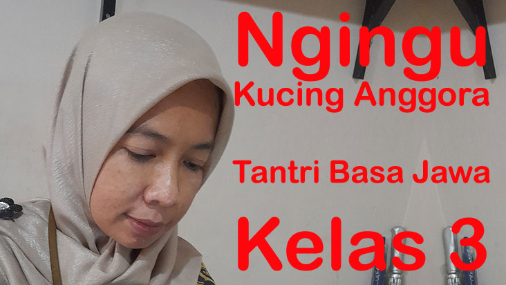 ngingu kucing anggora tantri basa jawa