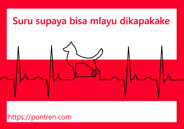 Suru Supaya Bisa Mlayu Dikapakake Batangane Kalebu Cangkriman