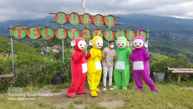 boneka teletubbies kebun teh kemuning