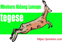 Read more about the article Mbeburu Kidang Lumayu Tegese Artinya Basa Jawa