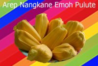 arep nangkane emoh pulute