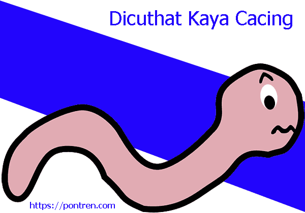 You are currently viewing Dicuthat Kaya Cacing Tegese, Contoh Kalimat Tuladha Ukara