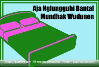 Read more about the article Aja Nglungguhi Bantal  Mundhak Wudunen, Gugon Tuhon Kasebut Duwe Karep