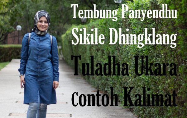 tembung panyendhu sikile dhingklang lakune tuladha ukara