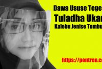 Read more about the article Dawa Ususe Tegese, Kalebu Tembung, Aksara Jawa