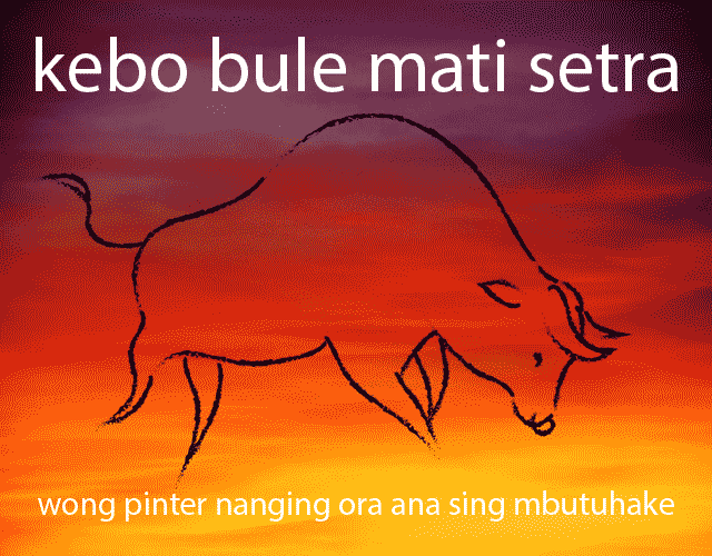 kebo bule mati setra