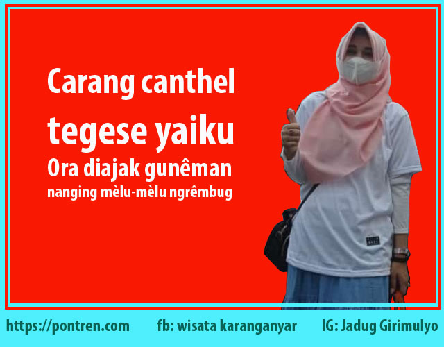 tegese carang canthel