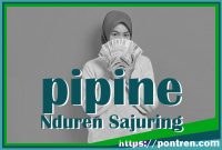 panyandra pipine nduren sajuring