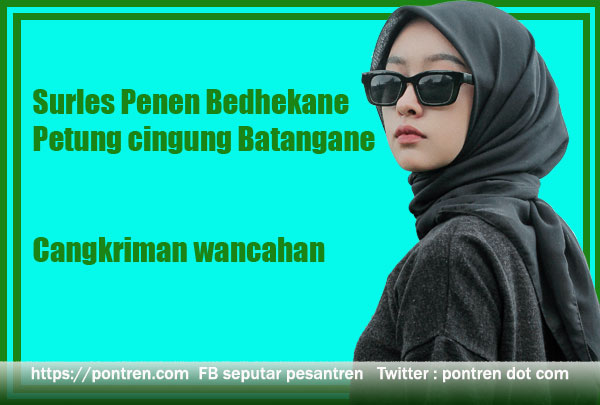 surles penen petung cingung bedhekane