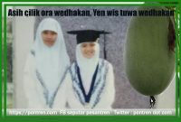 Asih cilik ora wedhakan Yen wis tuwa wedhakan