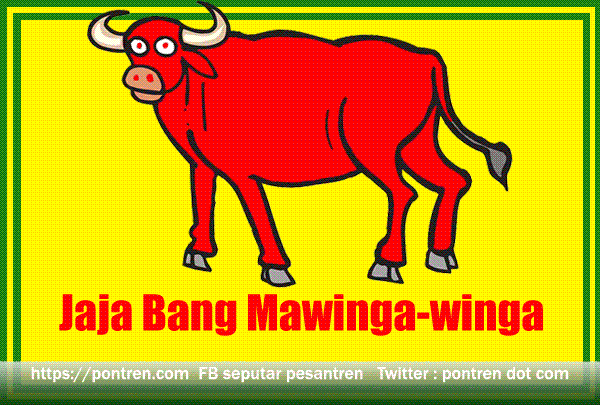 You are currently viewing Jaja Bang Mawinga-winga Tegese