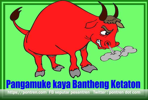 tandange pangamuke kaya bantheng ketaton