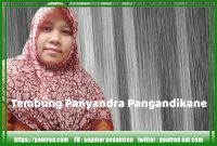 Read more about the article Tembung panyandra Pangandikane