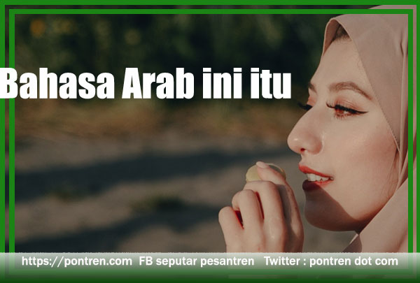 Bahasa Arab ini itu