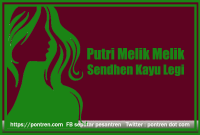 Read more about the article Putri Melik Melik Sendhen Kayu Legi