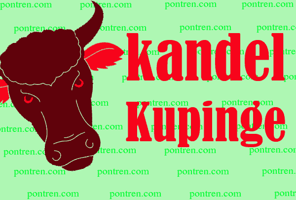 kandel kupinge