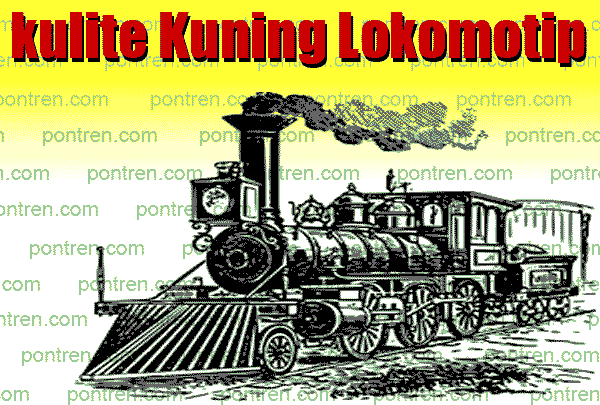 kulite kuning lokomotip