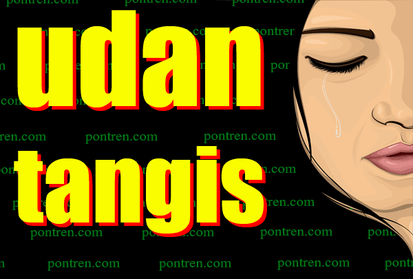 udan tangis tegese