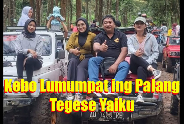 kebo lumumpat ing palang tegese yaiku