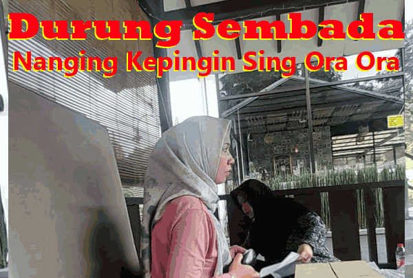 Durung Sembada Nanging Kepingin Sing Ora Ora, Paribasane