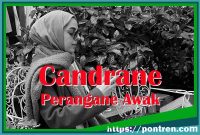 candrane perangane awak lan tegese