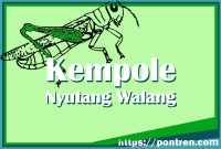 kempole nyutang walang