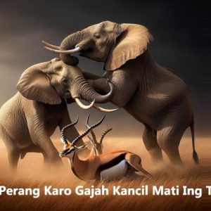 Gajah Perang Karo Gajah Kancil Mati Ing Tengah