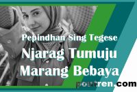 Pepindhan Sing Tegese Njarag Tumuju Marang Bebaya