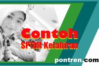 contoh sptjm kelahiran kebenaran data kelahiran