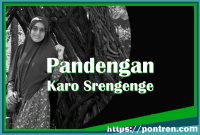 tegese pandengan karo srengenge tembung bebasan