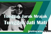 tegese tunggak jarak mrajak tunggak jati mati kalebu