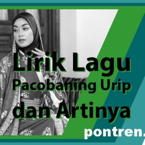 Lirik Lagu Pacobaning Urip dan Artinya