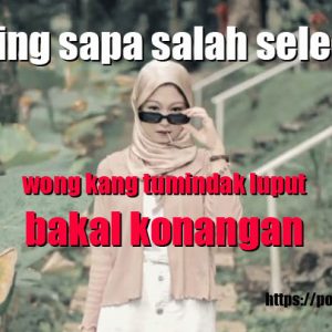 tegese sing sapa salah seleh