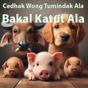 Cedhak Wong Tumindak Ala Bakal Katut Ala