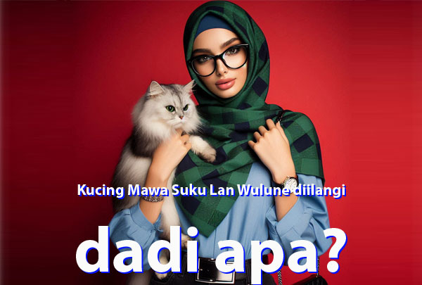 Kucing mawa suku lan wulune diilangi dadi apa?