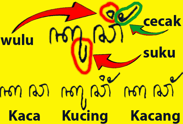 Kucing mawa suku lan wulune diilangi