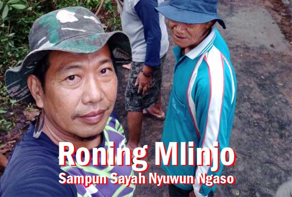 You are currently viewing Roning Mlinjo, Sampun Sayah Nyuwun Ngaso