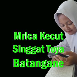 mrica kecut singgat toya batangane lan tegese