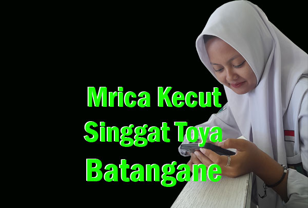 mrica kecut singgat toya batangane lan tegese