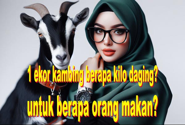 1 ekor kambing berapa kilo daging untuk berapa orang makan