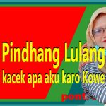 Wangsalan Pindhang Lulang kacek apa aku karo Kowe