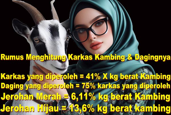 rumus menghitung karkas daging kambing seekor berapa kg