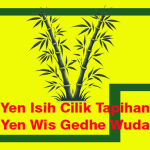 yen isih cilik tapihan yen wis gedhe wuda batangane