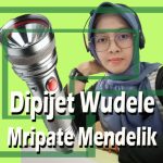 dipijet wudele mripate mendelik