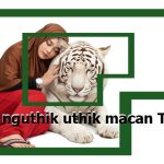 Aja Nguthik uthik Macan Turu