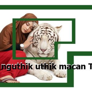 Aja Nguthik uthik Macan Turu