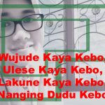 Wujude Kaya Kebo, Ulese Kaya Kebo, Lakune Kaya Kebo, Nanging Dudu Kebo