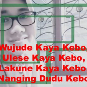 Wujude Kaya Kebo, Ulese Kaya Kebo, Lakune Kaya Kebo, Nanging Dudu Kebo