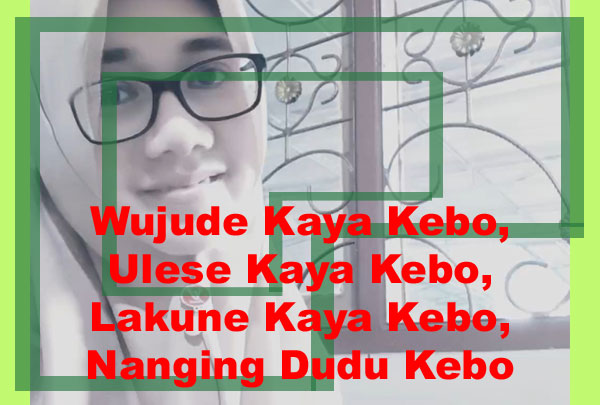 Wujude Kaya Kebo, Ulese Kaya Kebo, Lakune Kaya Kebo, Nanging Dudu Kebo